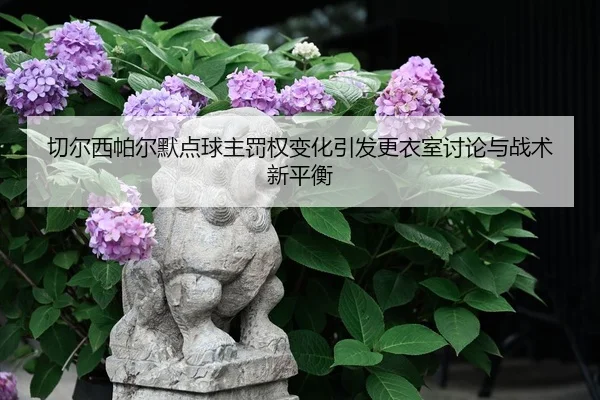 切尔西帕尔默点球主罚权变化引发更衣室讨论与战术新平衡（leyu）
