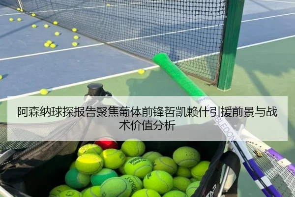 阿森纳球探报告聚焦葡体前锋哲凯赖什引援前景与战术价值分析（leyu）