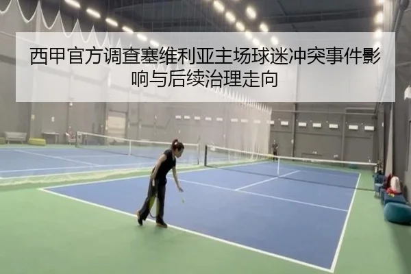 西甲官方调查塞维利亚主场球迷冲突事件影响与后续治理走向（leyu）