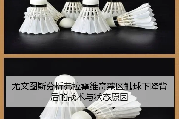 尤文图斯分析弗拉霍维奇禁区触球下降背后的战术与状态原因（leyu）
